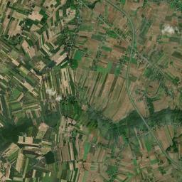 Satelita