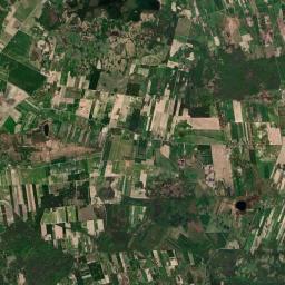 Satelita