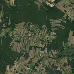 Satelita