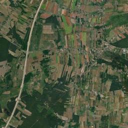 Satelita