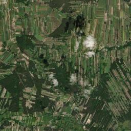 Satelita