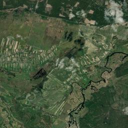 Zalissia Satellite Map