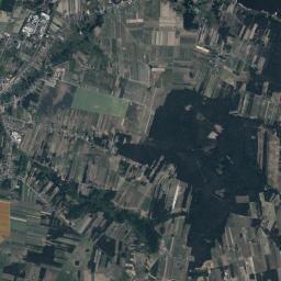 Satelita