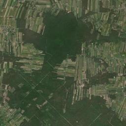 Satelita