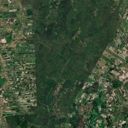 Satelita