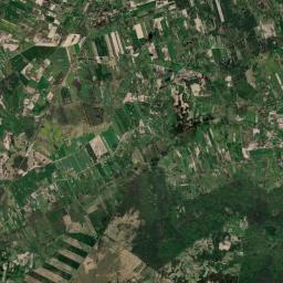 Satelita