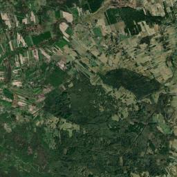 Satelita