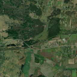 Satelita