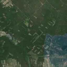 Satelita