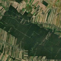 Satelita