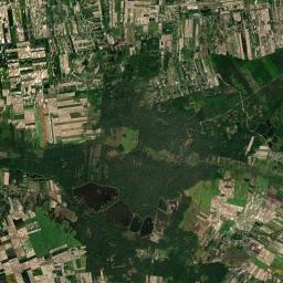 Satelita