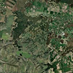 Satelita