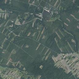 Satelita