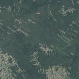 Satelita