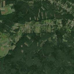 Satelita