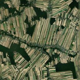 Borzechów Satellite Map