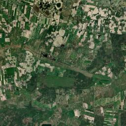 Satelita