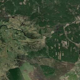 Didkovichi Satellite Map