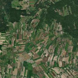 Satelita