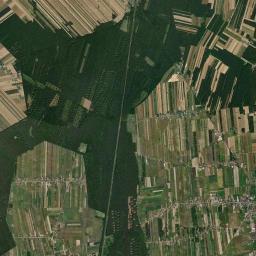 Miedzno Satellite Map