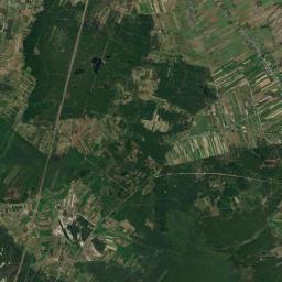 Satelita