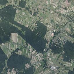 Satelita