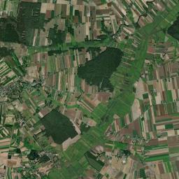 Satelita