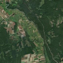 Satelita