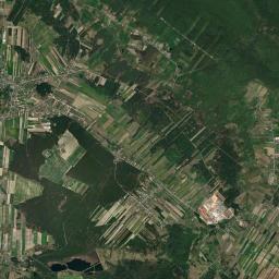 Satelita