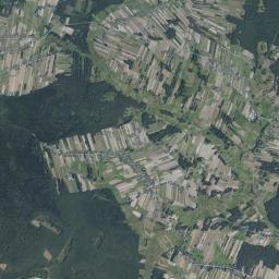 Satelita