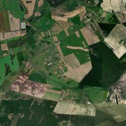 Satelita