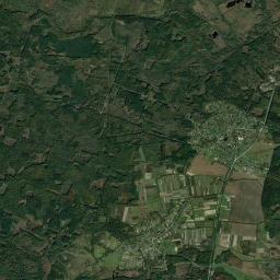 Bronitska Guta Satellite Map