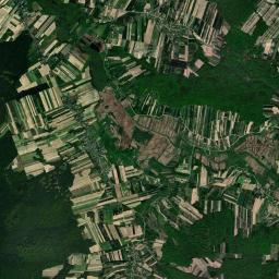 Satelita