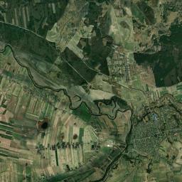 Satelita