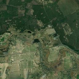 Satelita