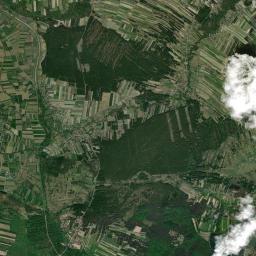Satelita