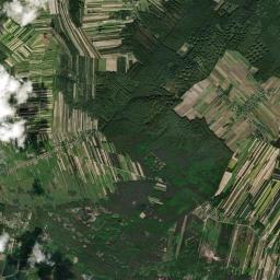 Satelita