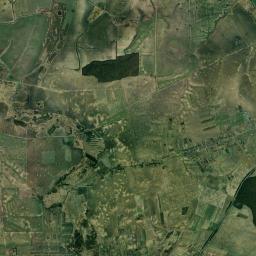 Satelita