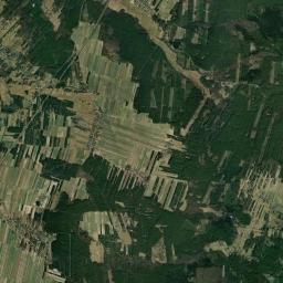 Satelita