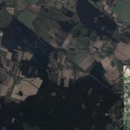 Dąbrowa Satellite Map