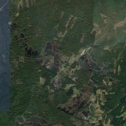 Satelita