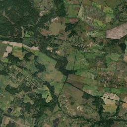 Dashynka Satellite Map