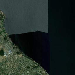 Novi Petrivtsi Satellite Map