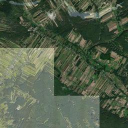 Satelita