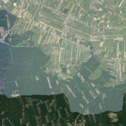 Cynków Satellite Map