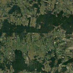Satelita
