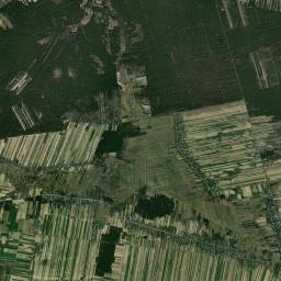 Satelita