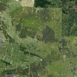 Niegowonice Satellite Map