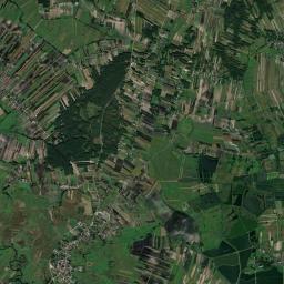 Wiślica Satellite Map