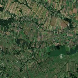 Satelita